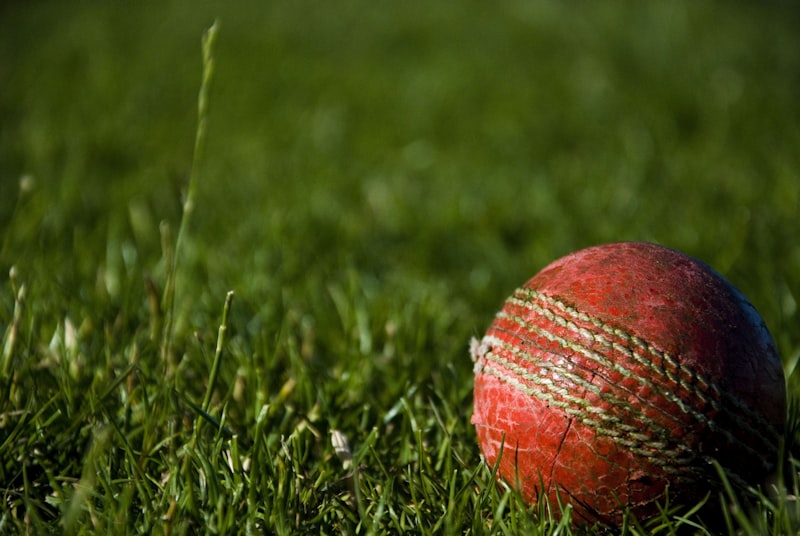 Kids Cricket at Sportida